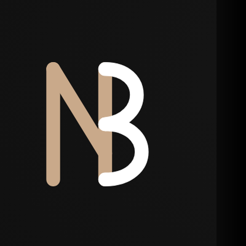 NexBridge Alpha